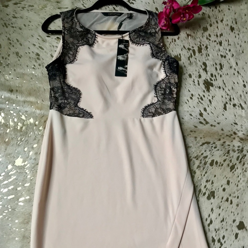 NWT Gorgeous Nude & Black lace Dress